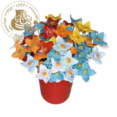 Pillangó csillagvirág