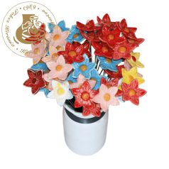 Pillangó csillagvirág